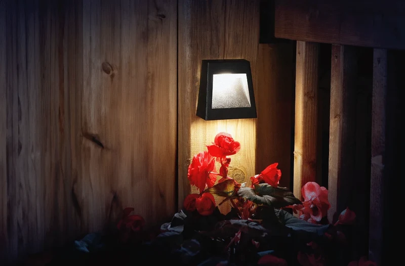 Wedge Light - 29057